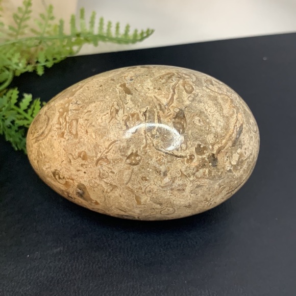 Beautiful brown, tan and cream colored MARBLE egg - Picture 7 of 10